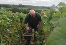 Champagne Bertrand Jacquinet