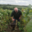 Champagne Bertrand Jacquinet