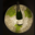 Champagne Francis Bougy. Mesnil grand cru