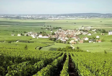 Champagne Chanoine Frères