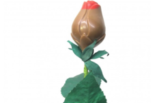 Chocolaterie Stéphane Lothaire. Rose en Chocolat au lait