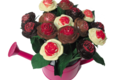 Chocolaterie Stéphane Lothaire. Bouquet de 15 roses en chocolat