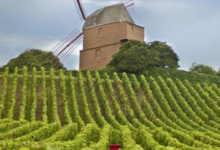 Champagne G.H Mumm