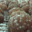 La Chocolaterie Thibaut. Marrons glacés