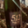 Maison Dellis. Cuvée 512 brut réserve