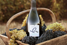Champagne Dominique Crété. Cuvée emeraude