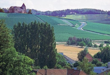 Champagne R-Renaudin