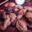 Chocolaterie Cherelle. Friture