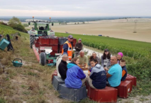 Champagne Oudit-Simonnet