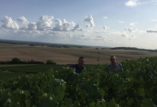 Champagne Oudit-Simonnet