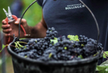 Champagne Bollinger