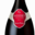 Champagne Gosset. Grande réserve brut