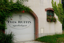Champagne Yves Ruffin, bio depuis 1971