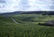 Champagne Andrieux Lefort