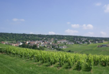 Champagne Patrick Visneux