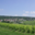 Champagne Patrick Visneux