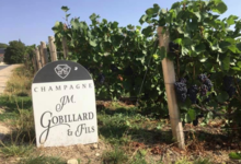 Champagne J.M. Gobillard et Fils
