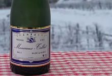 Champagne Manceaux-Talbot. Champagne blanc de blancs