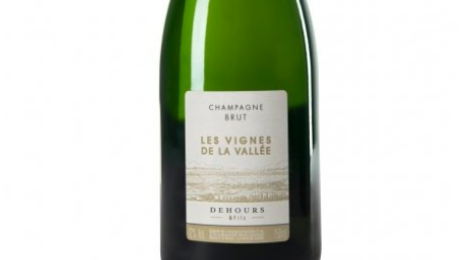Champagne Dehours. Les vignes de la vallée