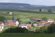 Champagne Henri Perrin