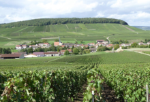 Champagne Henri Perrin