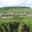 Champagne Henri Perrin