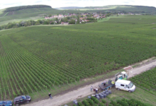 Champagne Henri Perrin