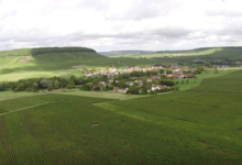 Champagne Henri Perrin