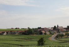 Champagne Jérôme Robert