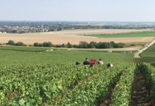 Champagne Didier Lapie