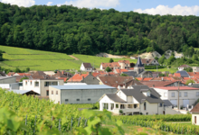 Champagne Fredestel