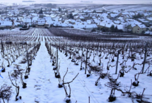 Champagne Bruno Lapoulle