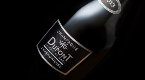 Champagne Valérie & Gael Dupont. L'harmonieuse