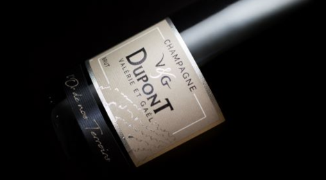 Champagne Valérie & Gael Dupont. L'or de nos terroirs