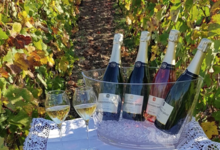 Champagne Decressonnière-Quenot