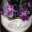 Champagne Guy Blin Laurent. Brut 