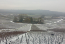 Champagne Michel Guillemart et fils