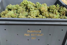 Champagne Berthelot Paul