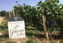 Champagne JM Gobillard & Fils