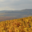Champagne Alain Bernard