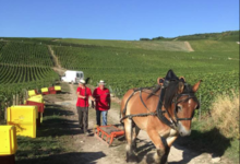 Champagne Alain Bernard