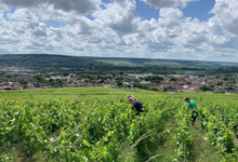 Champagne Alain Bernard