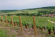 Champagne James Mary & Fils