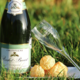 Champagne Rochet Bocart. Blanc de blancs