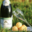 Champagne Rochet Bocart. Blanc de blancs