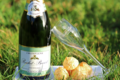 Champagne Rochet Bocart. Blanc de blancs nature