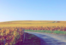 Champagne Christophe Dedet