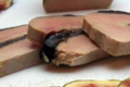 Maison Samaran. Délice de Foie gras de canard Mi-Cuit aux figues