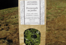 Artemisia infusions. Promenade au jardin
