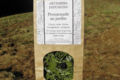 Artemisia infusions. Promenade au jardin